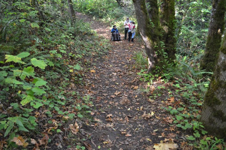 Kitty Newell natural surface trail – steep grade and cross slope